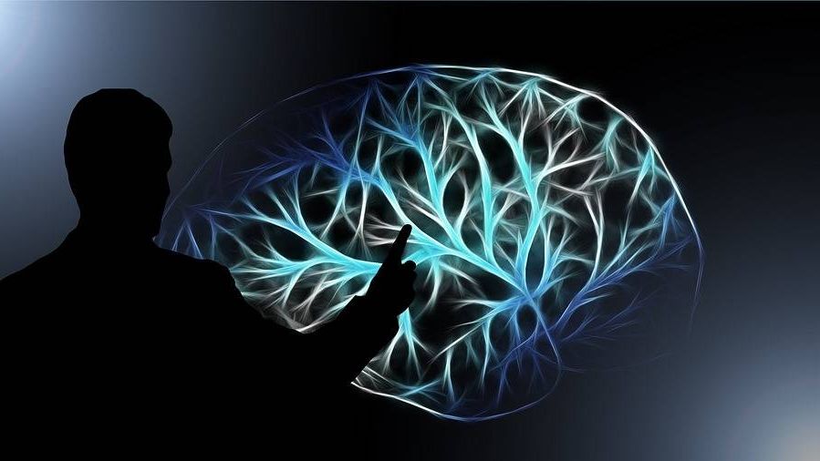 Человеческий мозг
