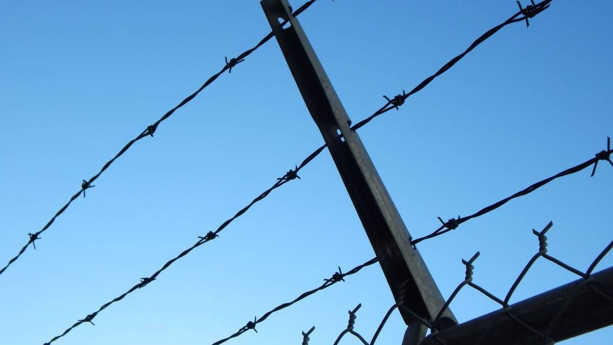 Небо за колючей проволокой