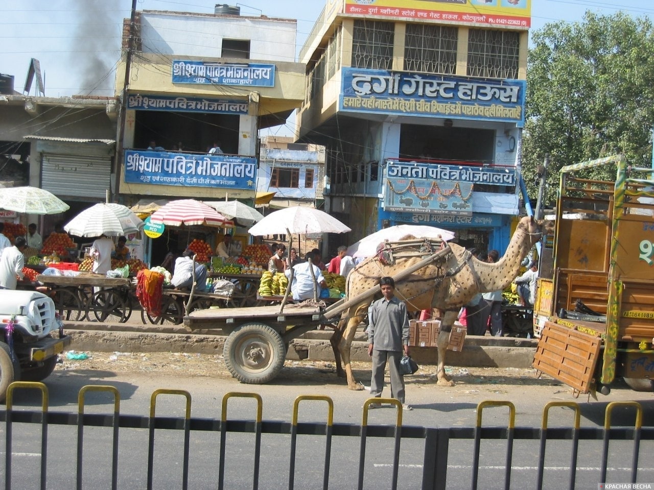 Уличный базар в Индии