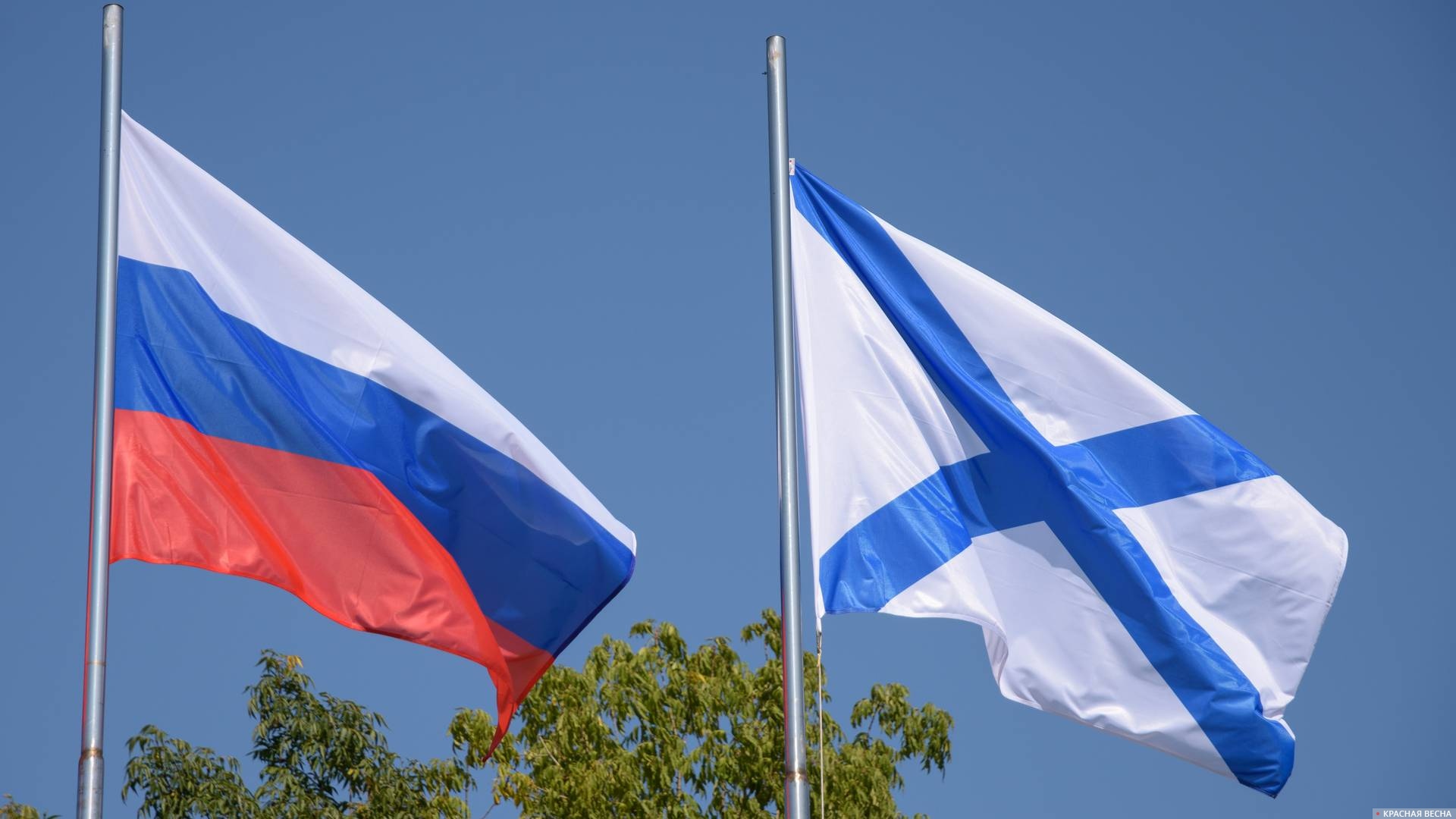 Государственный и военно-морской флаги России.