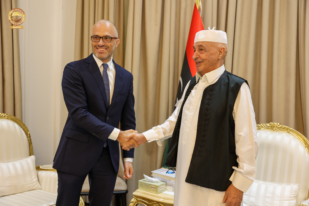 Глава парламента Ливии встретился с послом ЕС