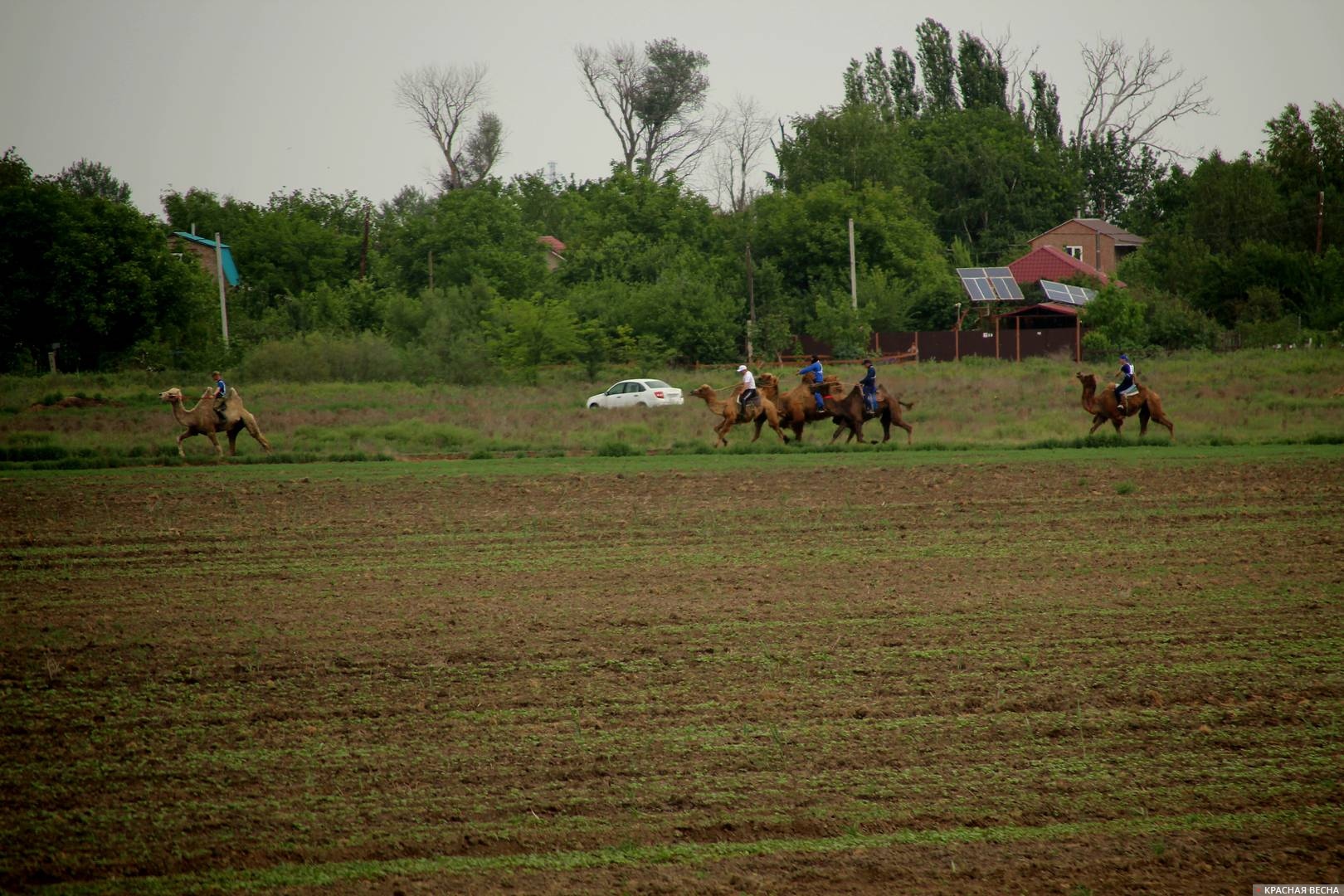 Сабантуй в Астрахани