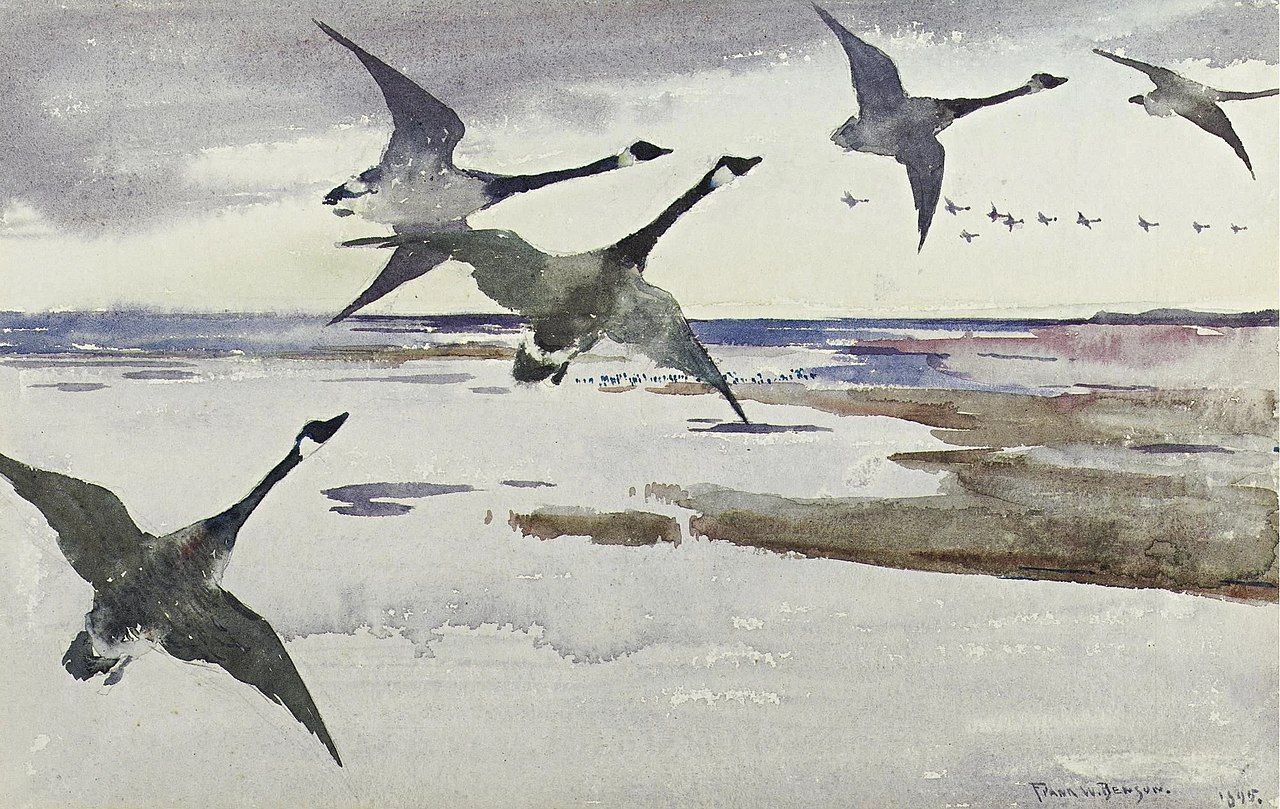 Френк Бенсон. Канадские гуси. 1895