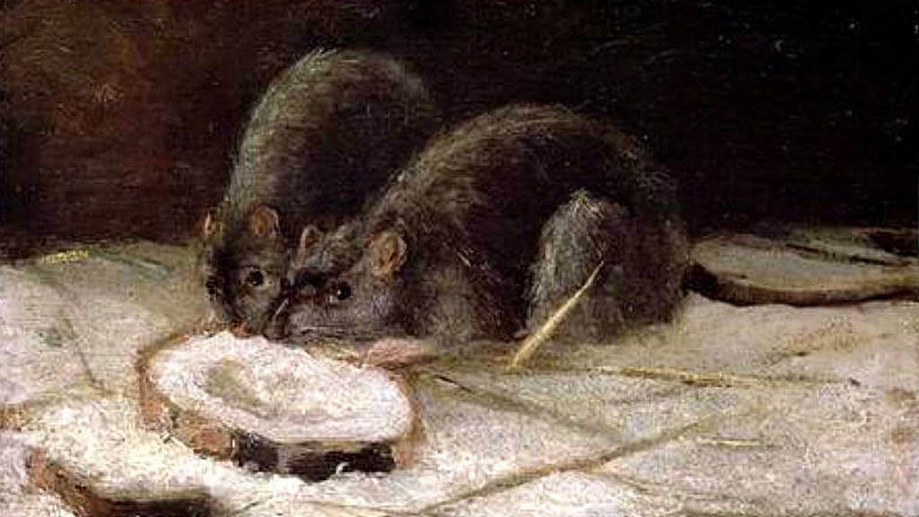 Винсент Ван Гог. Две крысы. 1884