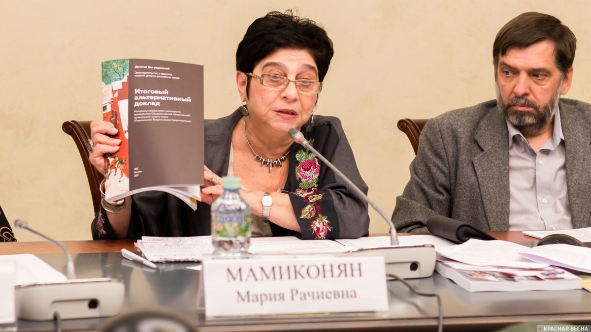Круглый стол в Общественной палате по семейному законодательству. Мария Мамиконян