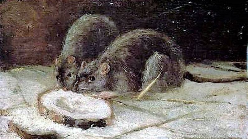 Винсент Ван Гог, «Две крысы», 1884