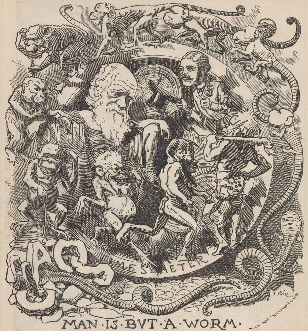 Карикатура теории Дарвина из альманаха журнала «Punch» за 1882 год