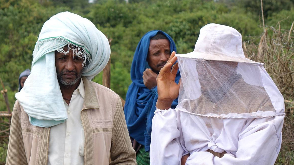 Пасечники в Эфиопии