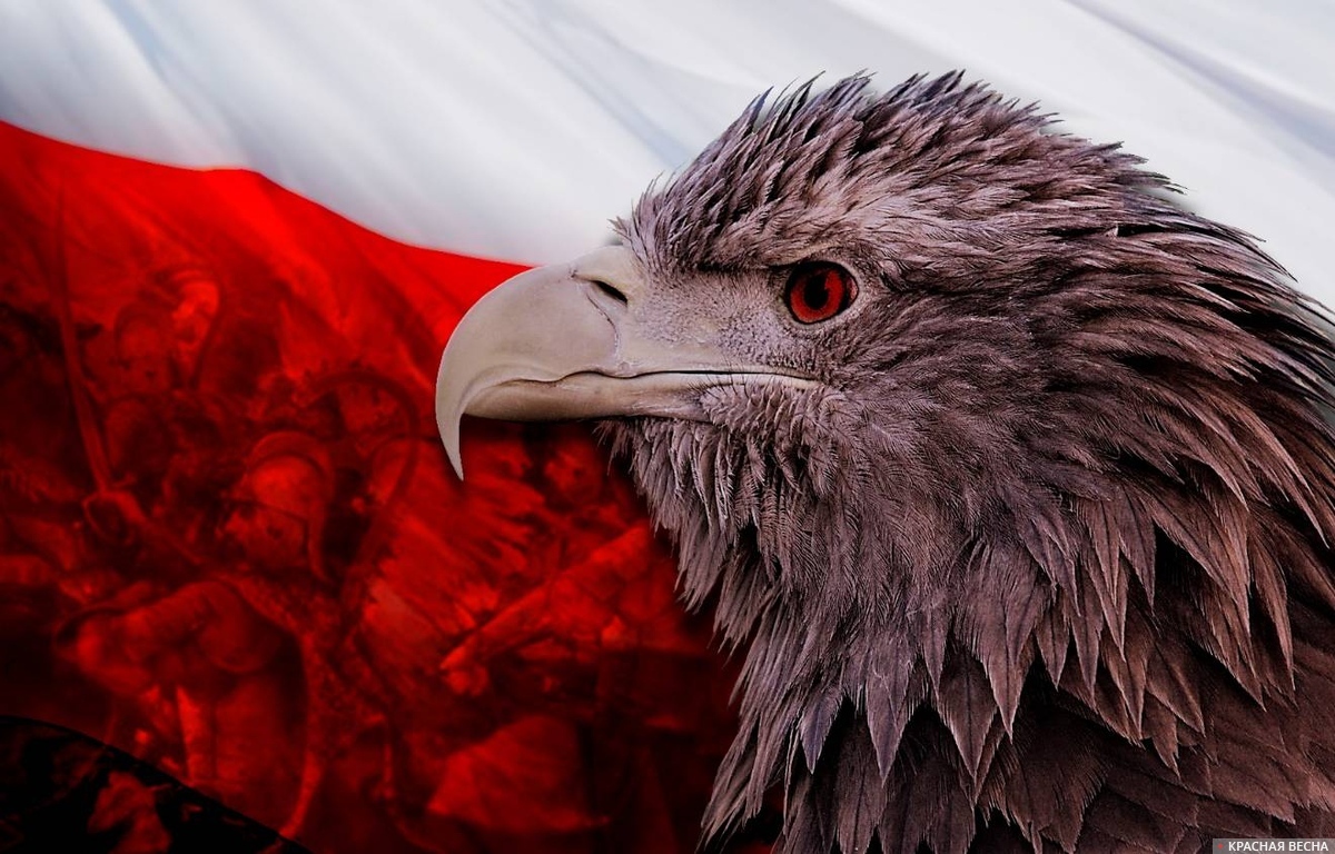 Амбиции Польши