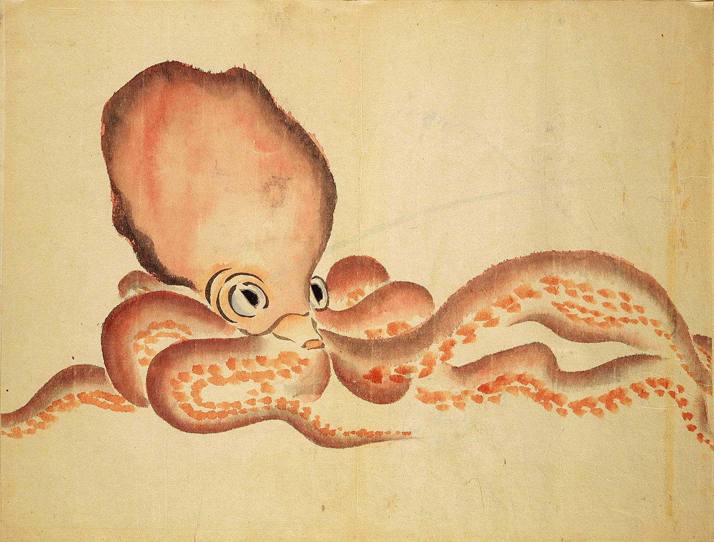 Ринсай Окубо. Эскиз осминога. 1870