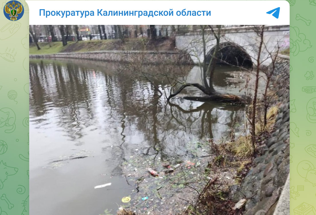 Загрязненное Верхнее озеро в Калининграде
