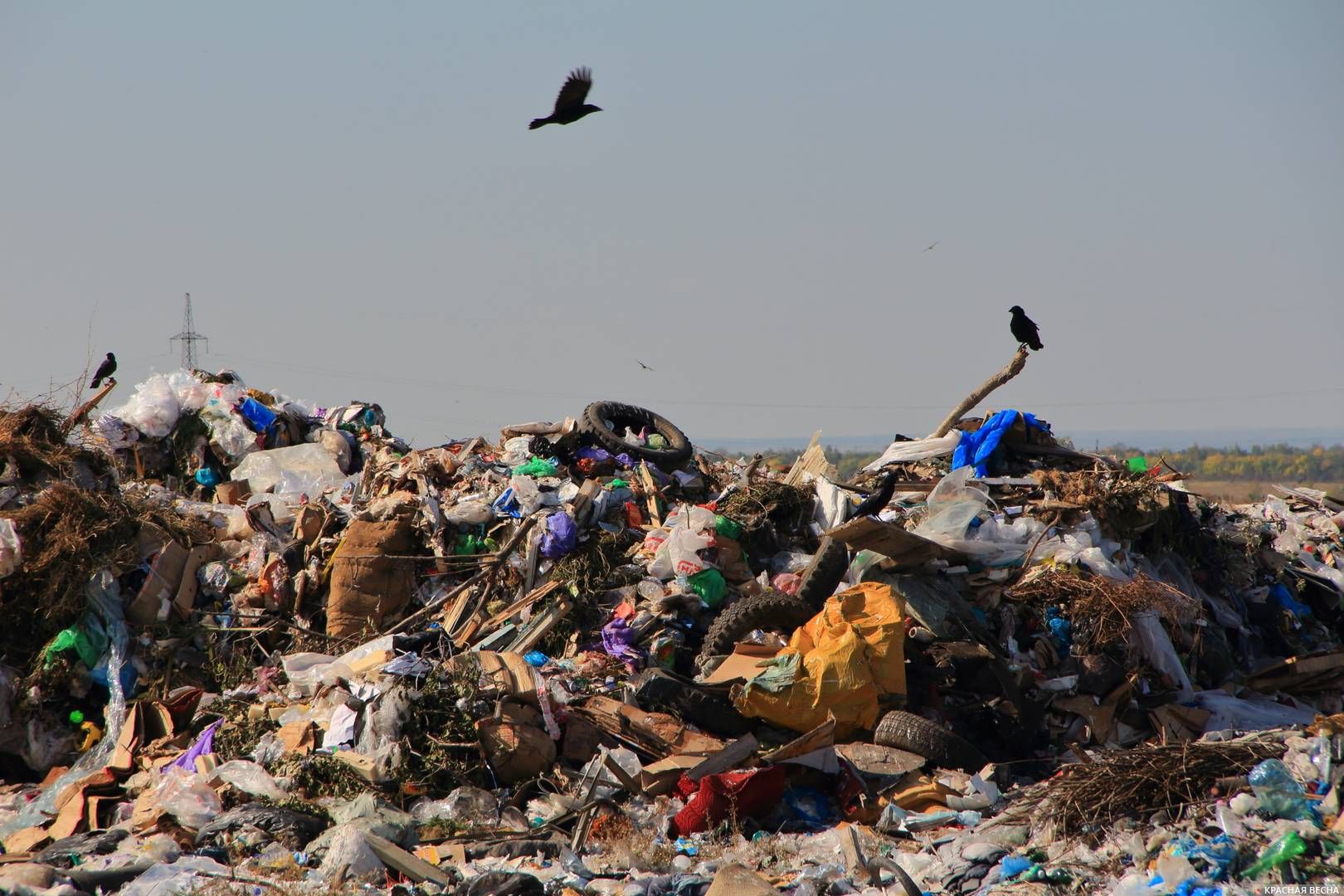 В Новосибирской области решили построить 6 комплексов переработки мусора