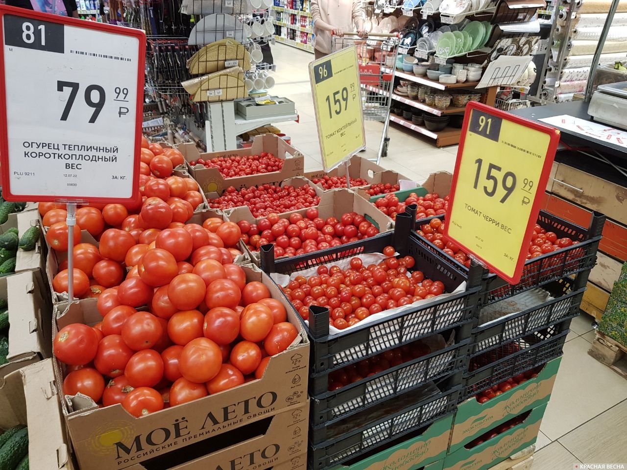 Курск. Цены на томаты. Супермаркет Европа