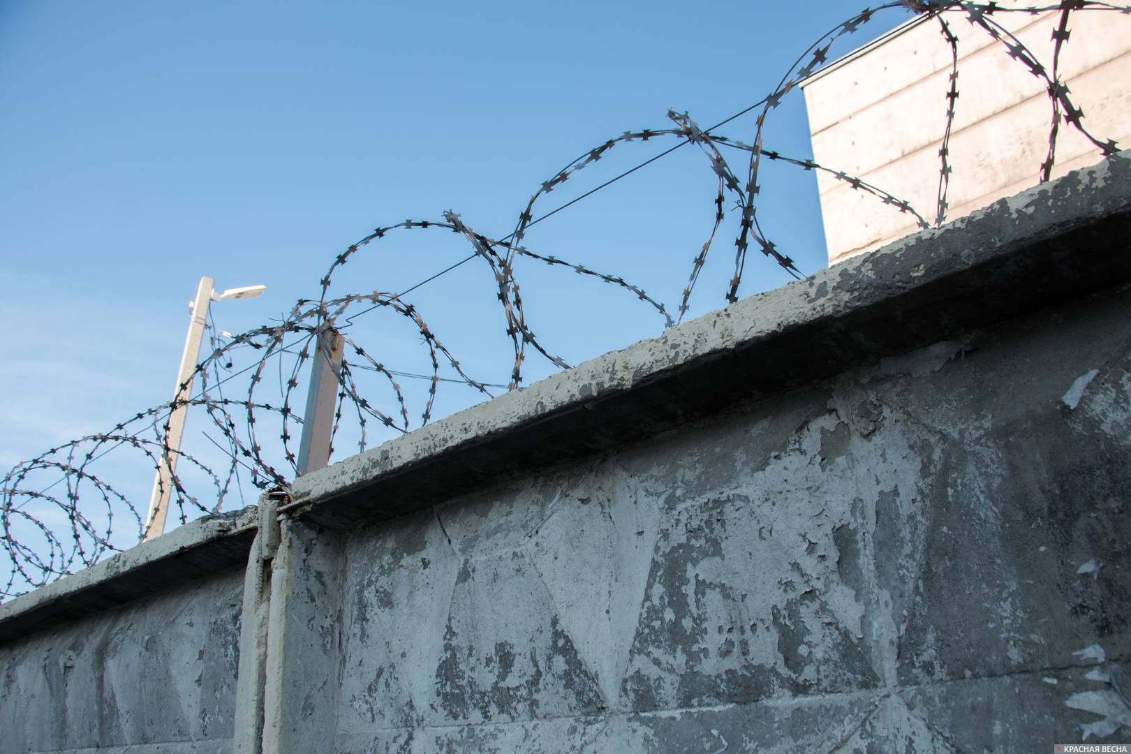 Колючая проволока