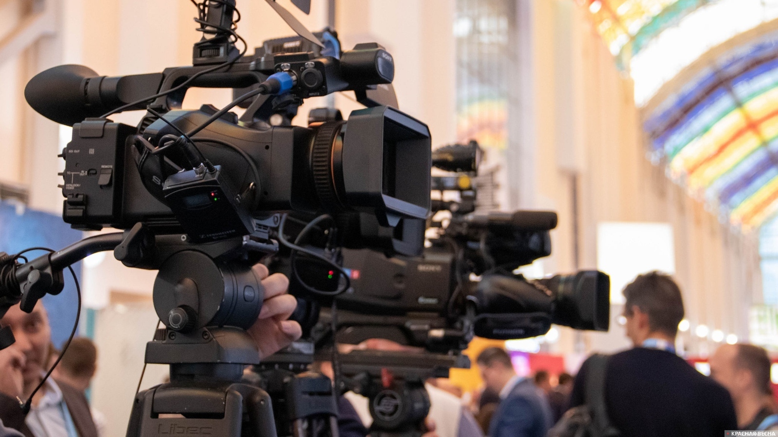 Журналисты