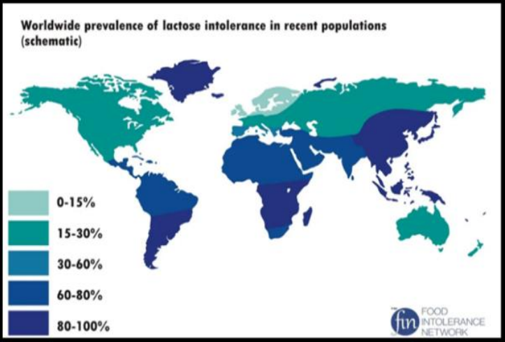 Глобальная распространенность непереносимости лактозы