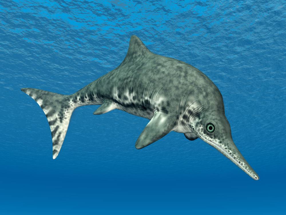  A Guizhouichthyosaurus, a type of ichthyosaur, hunting for smaller fish underwater.
