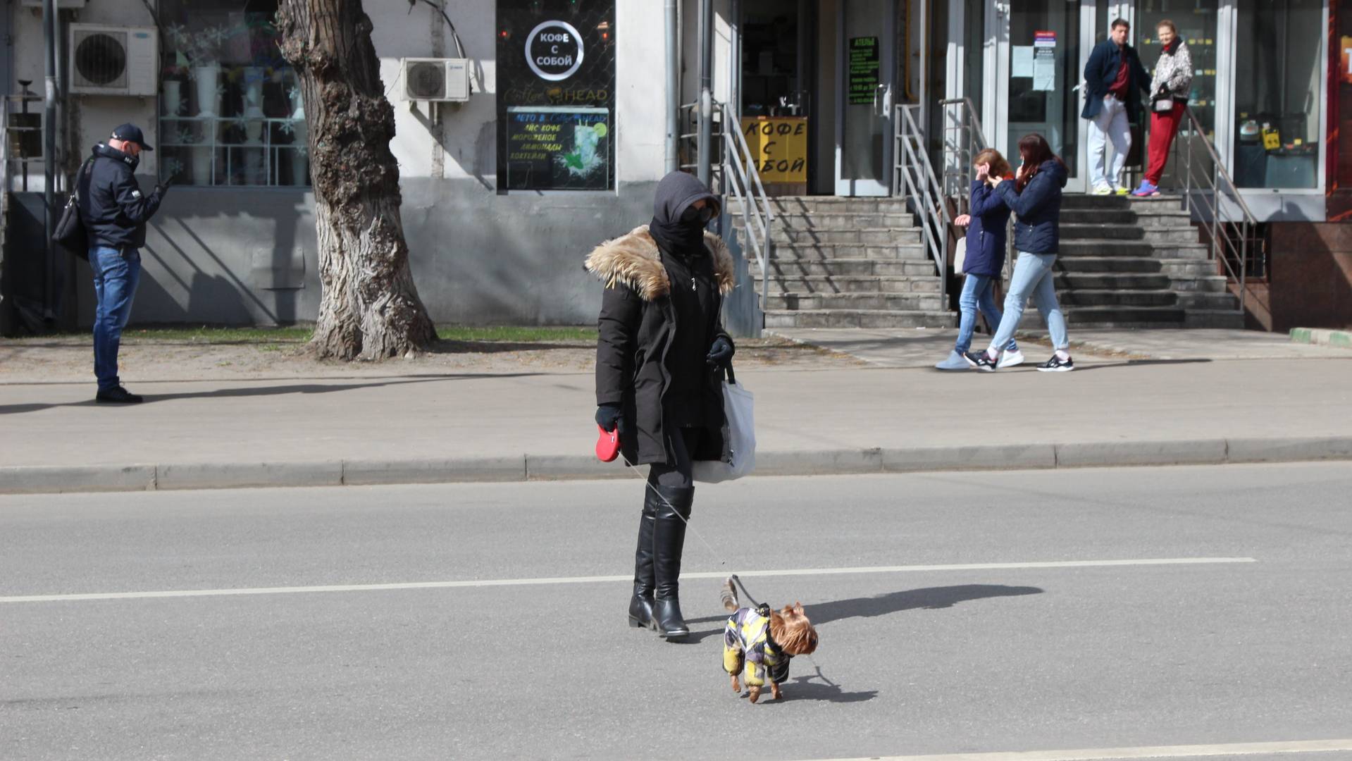 Москва.  Дама с собачкой, инкогнито