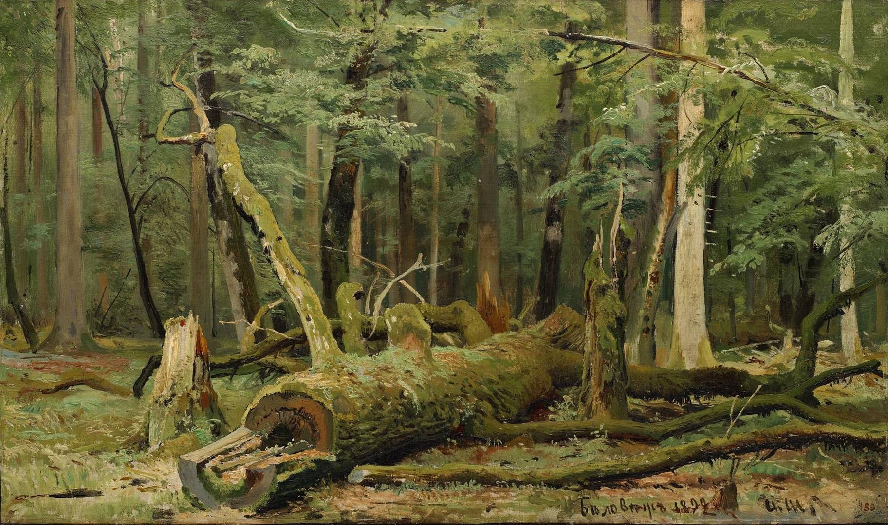 «Деревья в лесу» Иван Иванович Шишкин