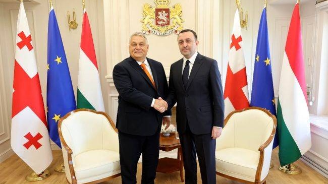 Премьер-министры Венгрии и Грузии Виктор Орбан (слева) и Ираклий Гарибашвили