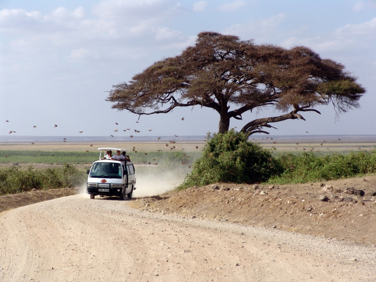 На дорогах Кении