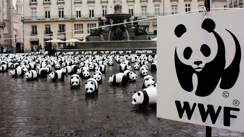 Одна из акций WWF