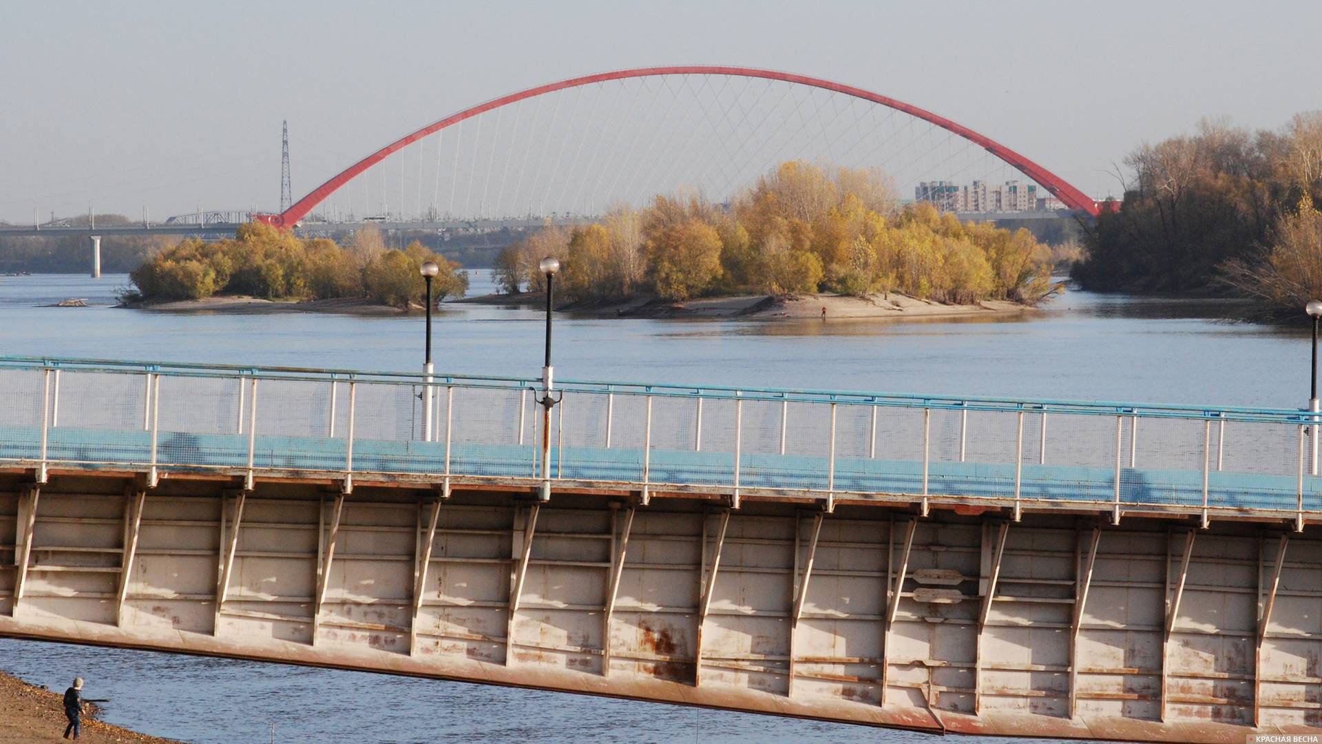 Бугринский мост. Новосибирск