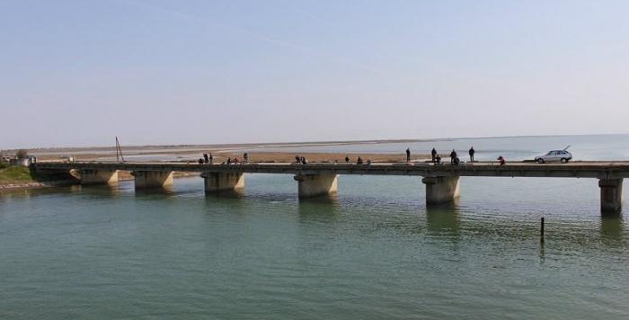 Чонгарский автомобильный мост