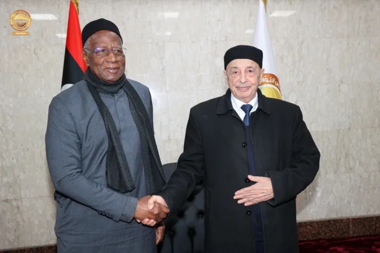 Переговоры главы парламента Ливии Агилы Салеха с главой миссии ООН по поддержке в Ливии Абдулаем Батили