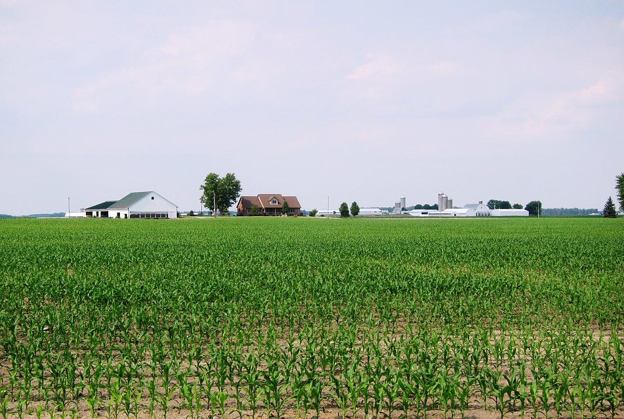 Кукурузное поле в США