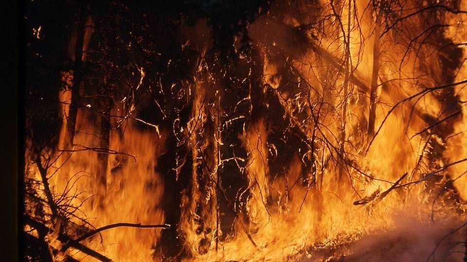 В Якутии произошло резкое увеличение количества лесных пожаров