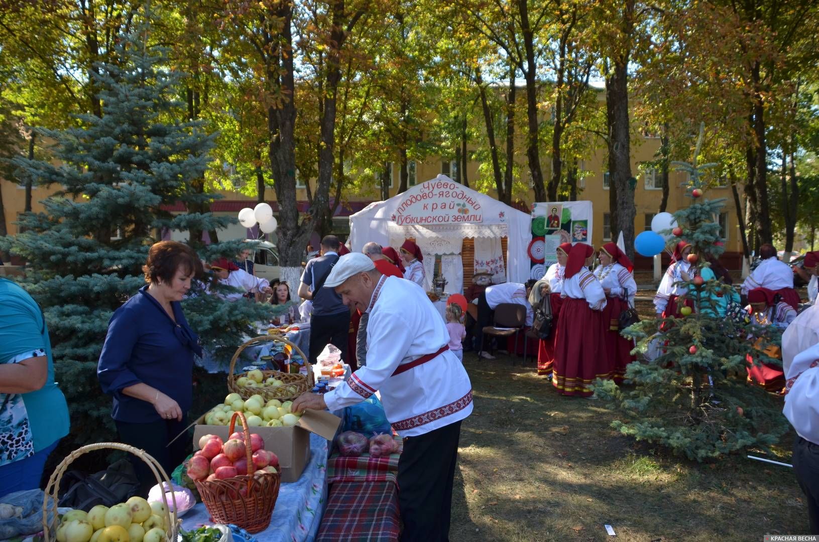 Губкин белгородской новости города