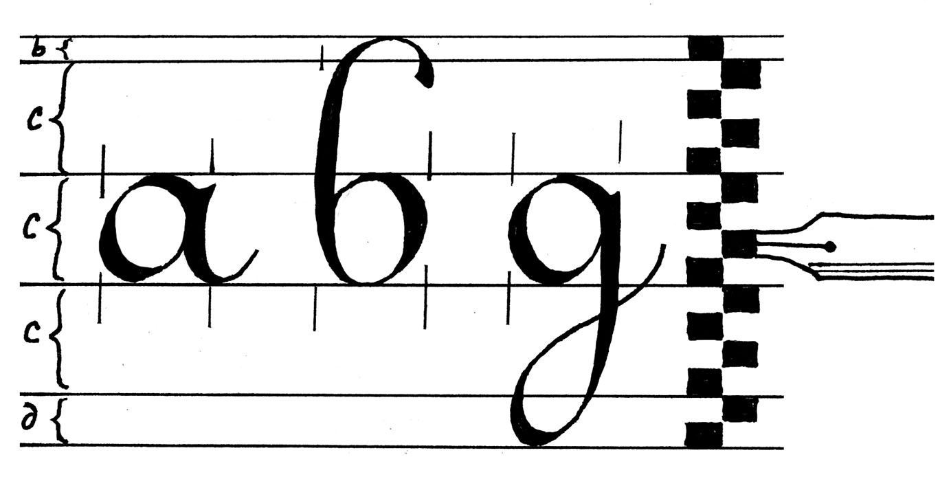 Пропорции строчных букв шрифта Ronde