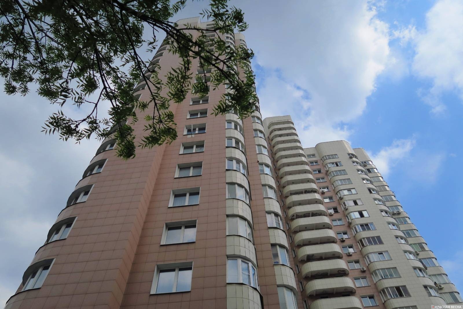 Аренда однокомнатных квартир в России подорожала на 8,4%