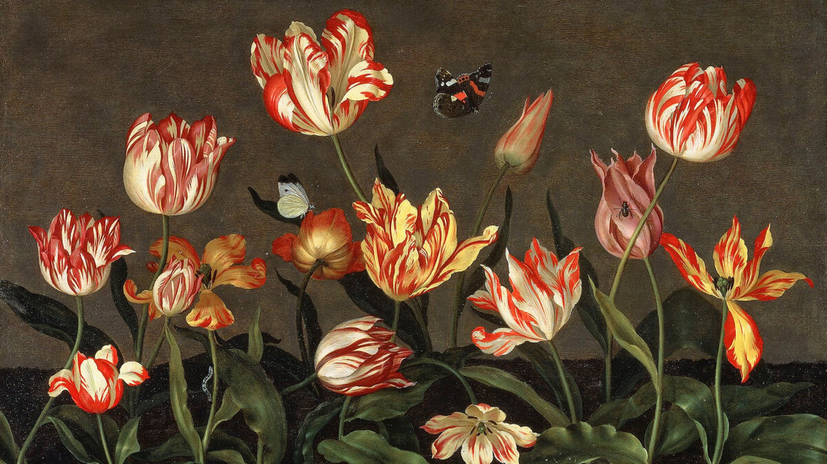 Амброзиус Босхарт Старший. Натюрморт с тюльпанами. Ок. 1629