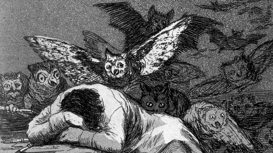 Франсиско Гойя. Сон разума рождает чудовищ (фрагмент). 1797