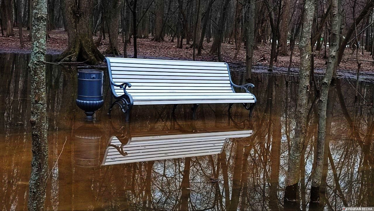 весна паводок отдых парк затопление наводнение