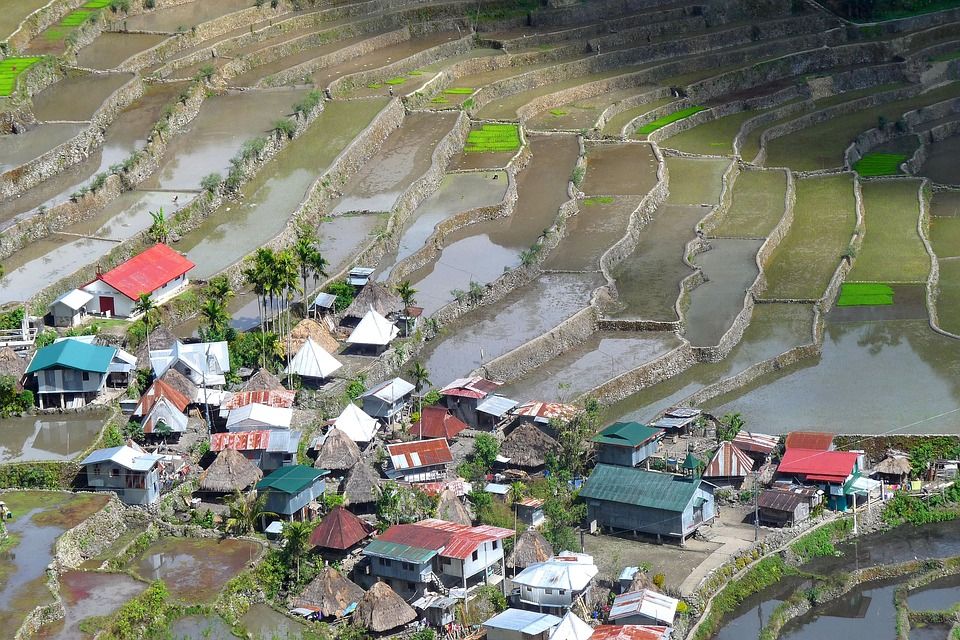 Рисовые поля, Филиппины