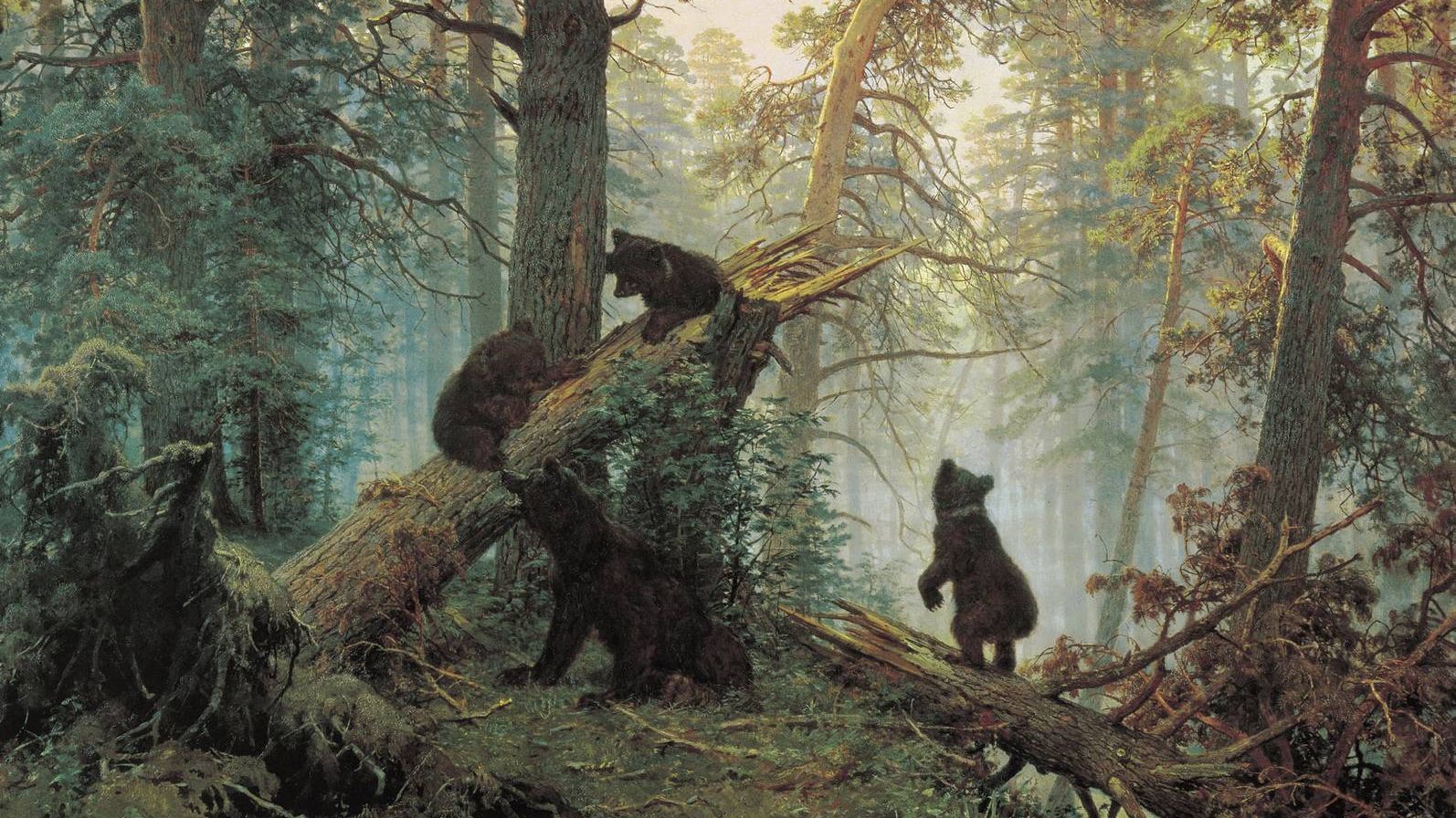 Шишкин Иван. Утро в сосновом лесу (фрагмент). 1889.