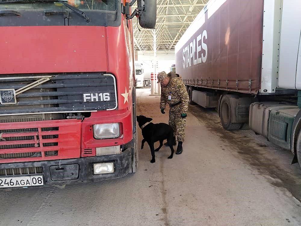 Проверка грузовой фуры служебной собаков