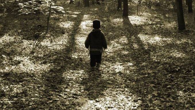 Ребенок в лесу