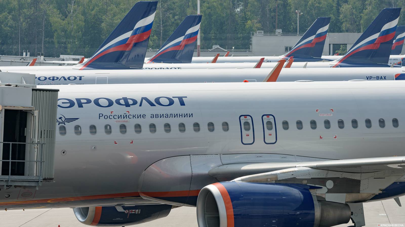 Самолеты авиакомпании Аэрофлот в аэропорту Шереметьево