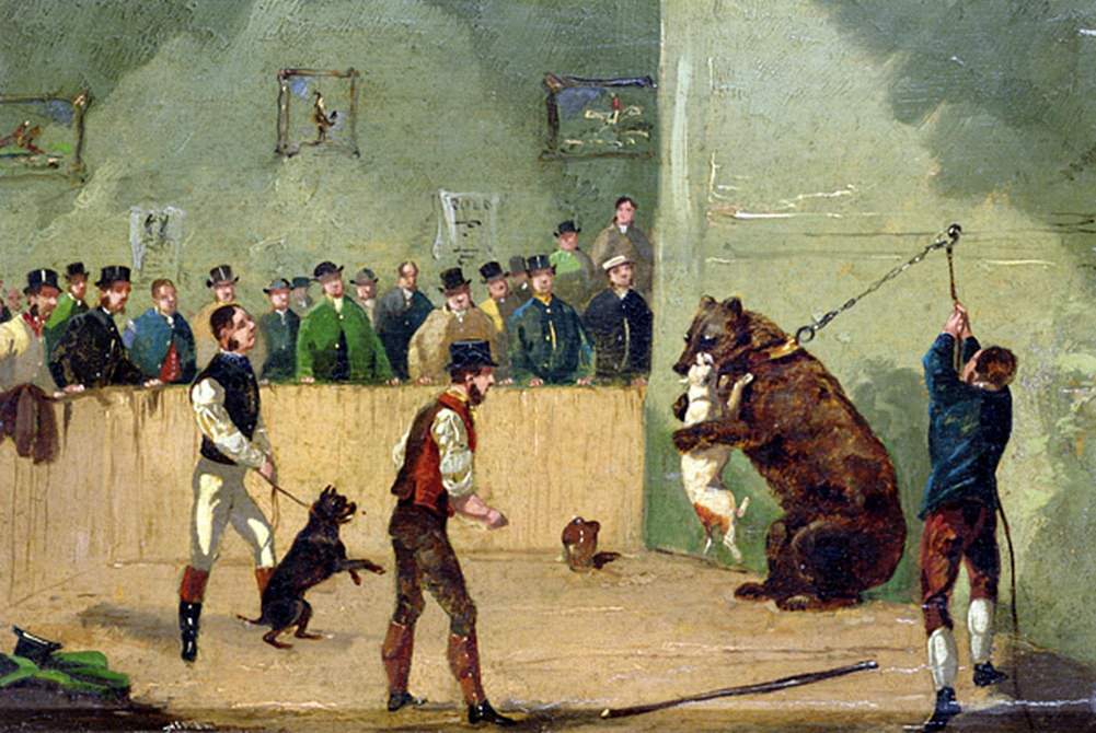 Сэмюэл Алкен. Травля медведя. XIX век
