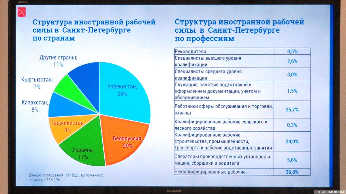 Структура иностранной рабочей силы в Санкт-Петербурге. Слайд из презентации Чернейко Д. С. 10.12.2019