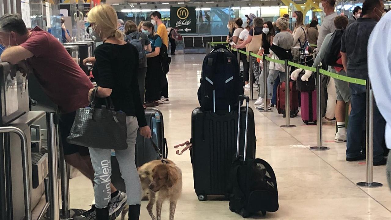 Граждане России на регистрации в аэропорту Мадрида