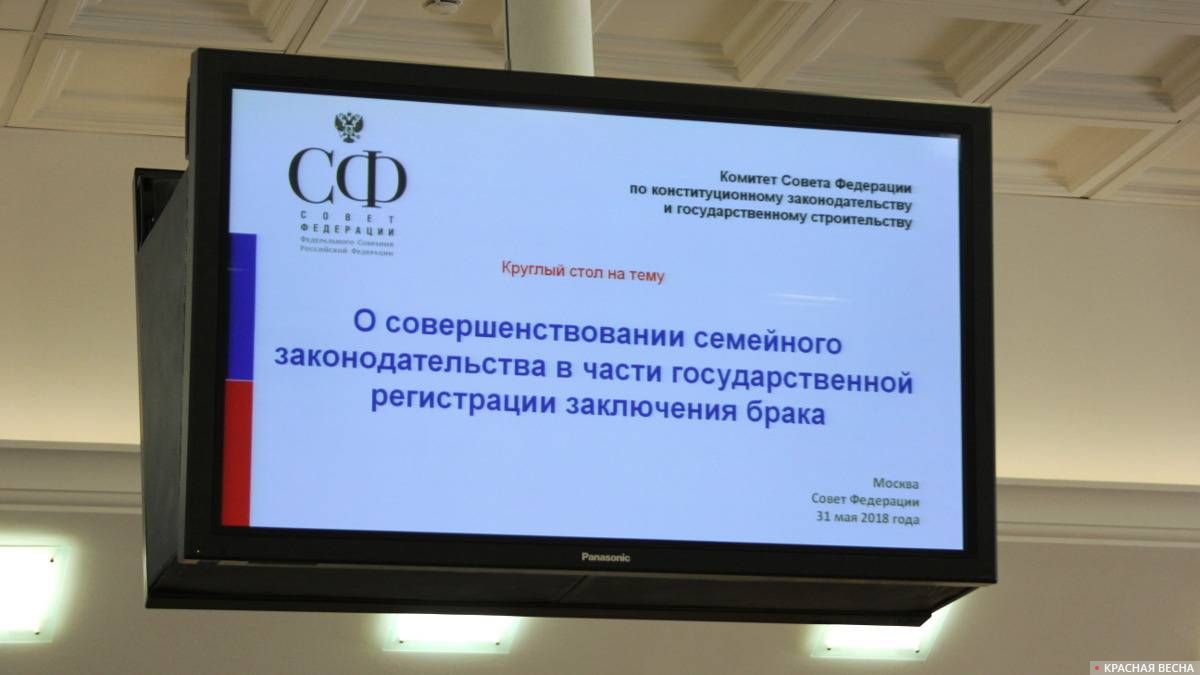 Круглый стол в Совфеде