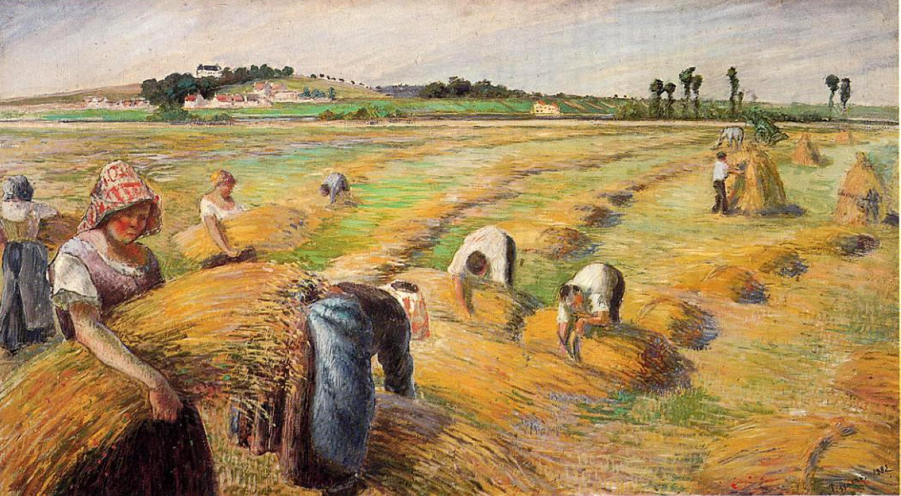 Писсарро Камиль. Сбор урожая. 1882