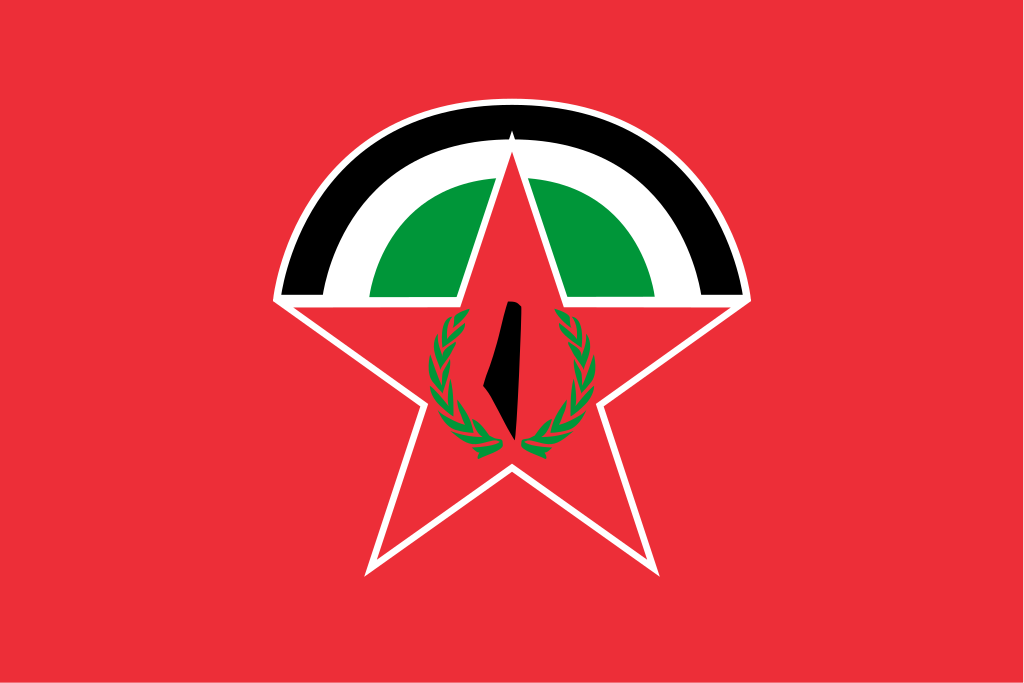 Флаг Демократического фронта освобождения Палестины