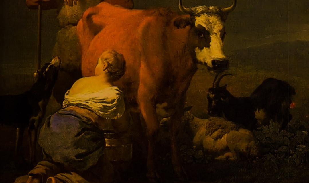 Карель Дюжарден. Женщина, доящая корову. 1657 г.