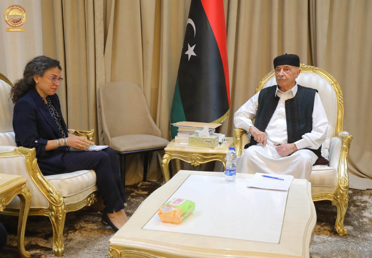 Встреча главы парламента Ливии Агилы Салеха с и. о. главы миссии ООН по поддержке в Ливии Стефани Хури